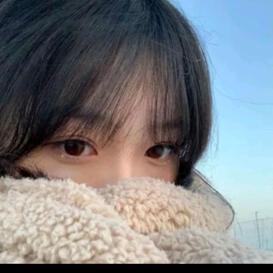 偏爱牡丹鹦鹉