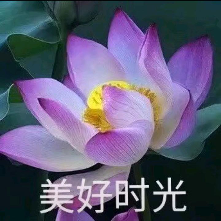 ，开心过好。