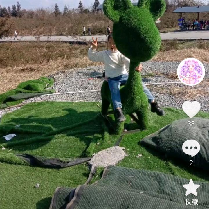 杨姐姐