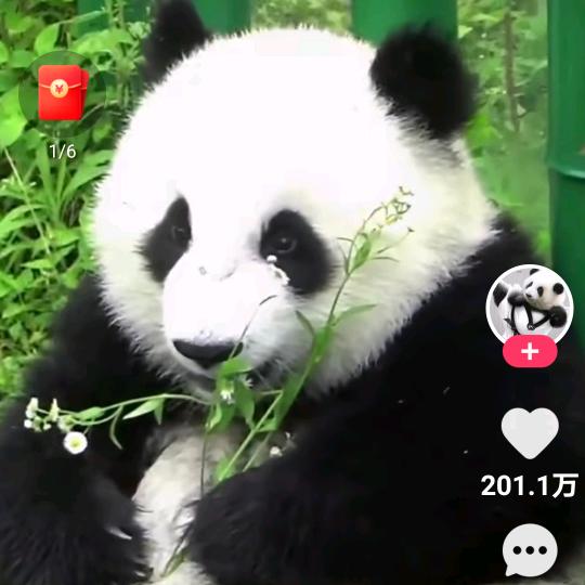 安康福乐