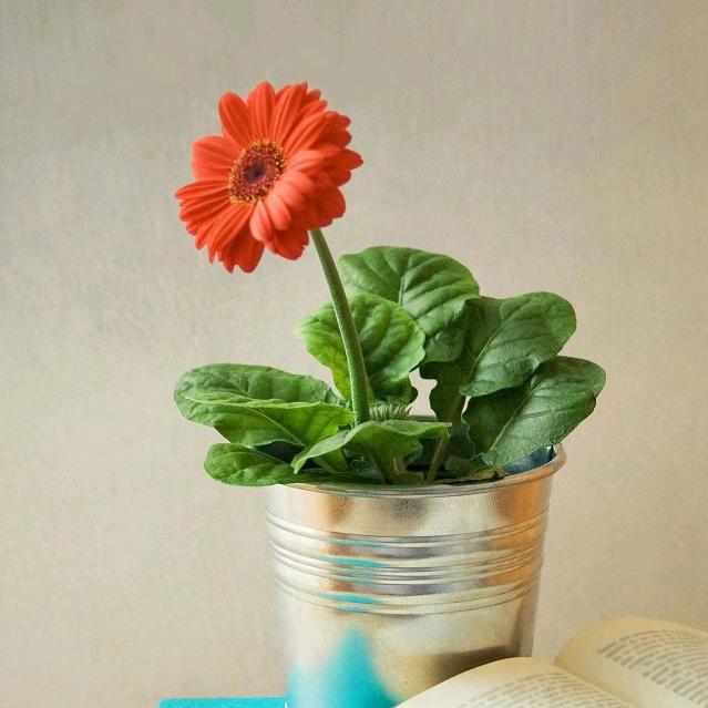 👑～默.还是那个默～👑