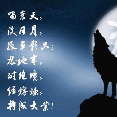 【Lone traveler】之孤狼