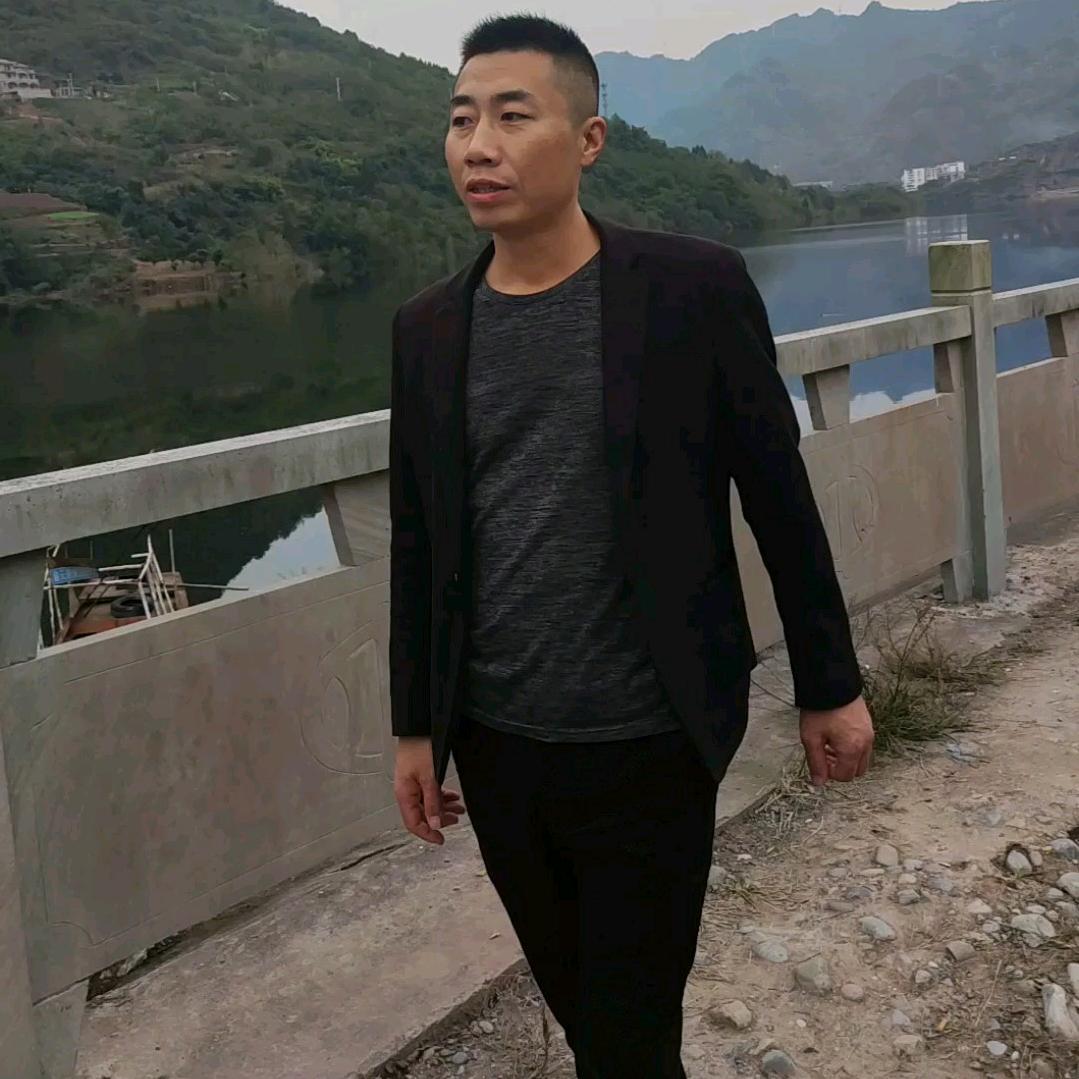 向哥流浪记