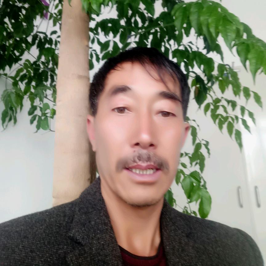 用户8544378714668