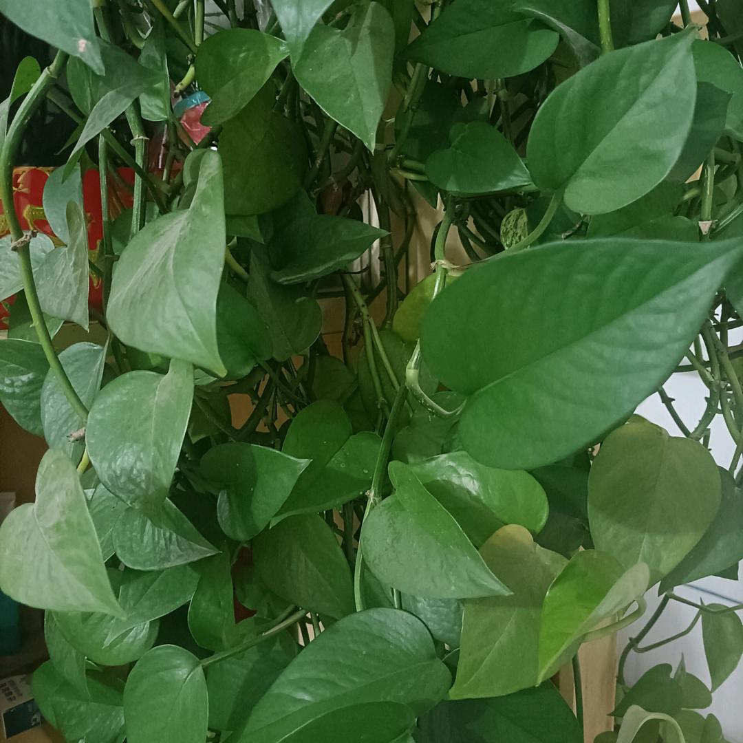 携手同行