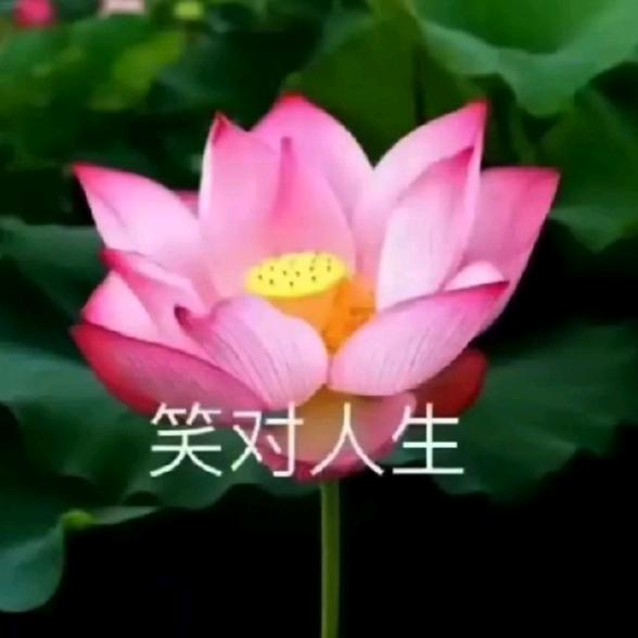 流浪人.