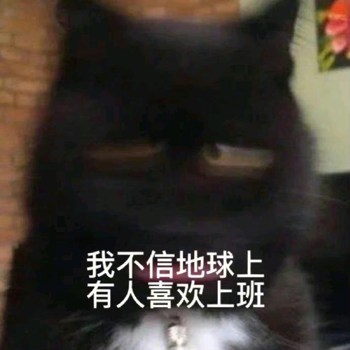 不转圈圈圈