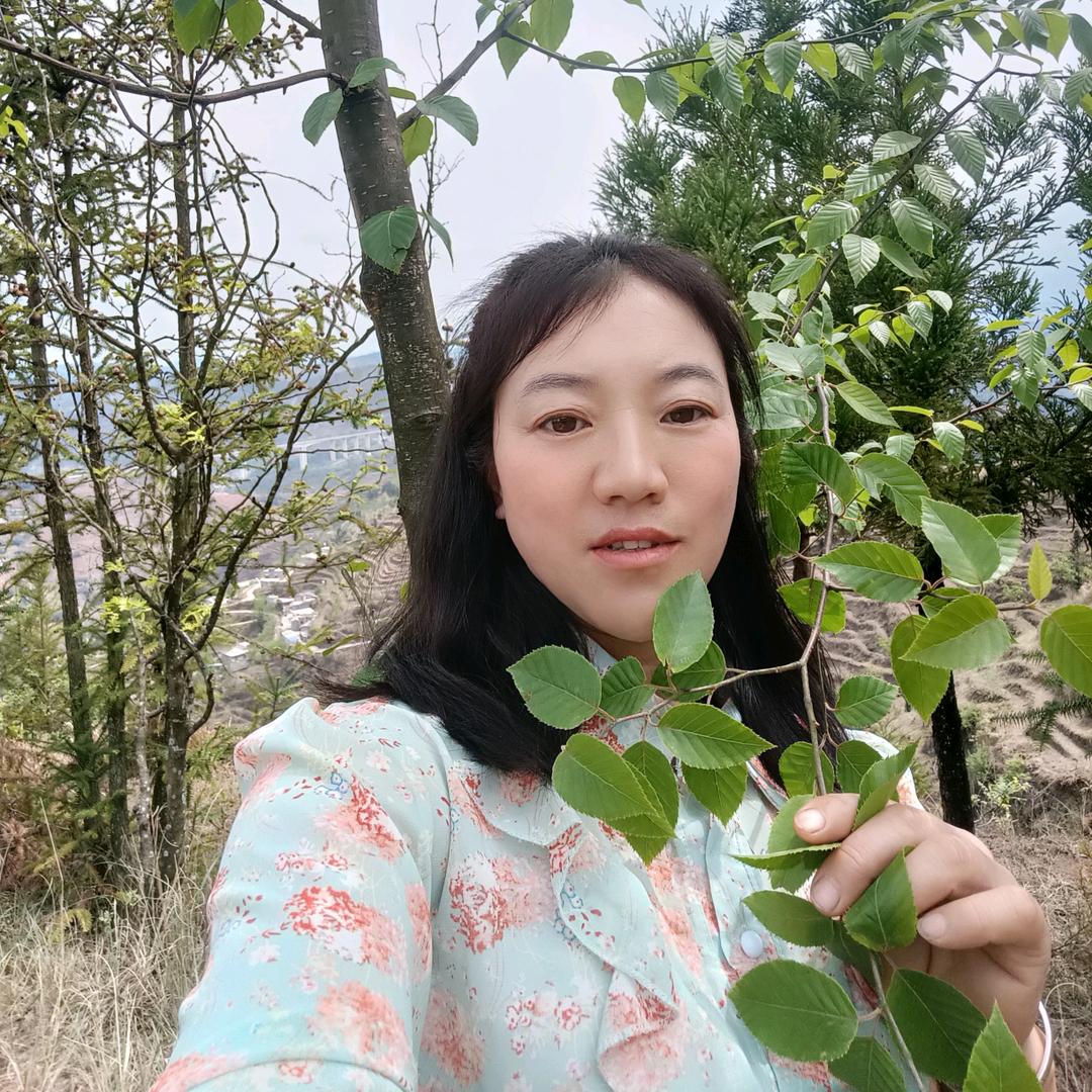 罗师傅。专业贴地板砖，电话182960