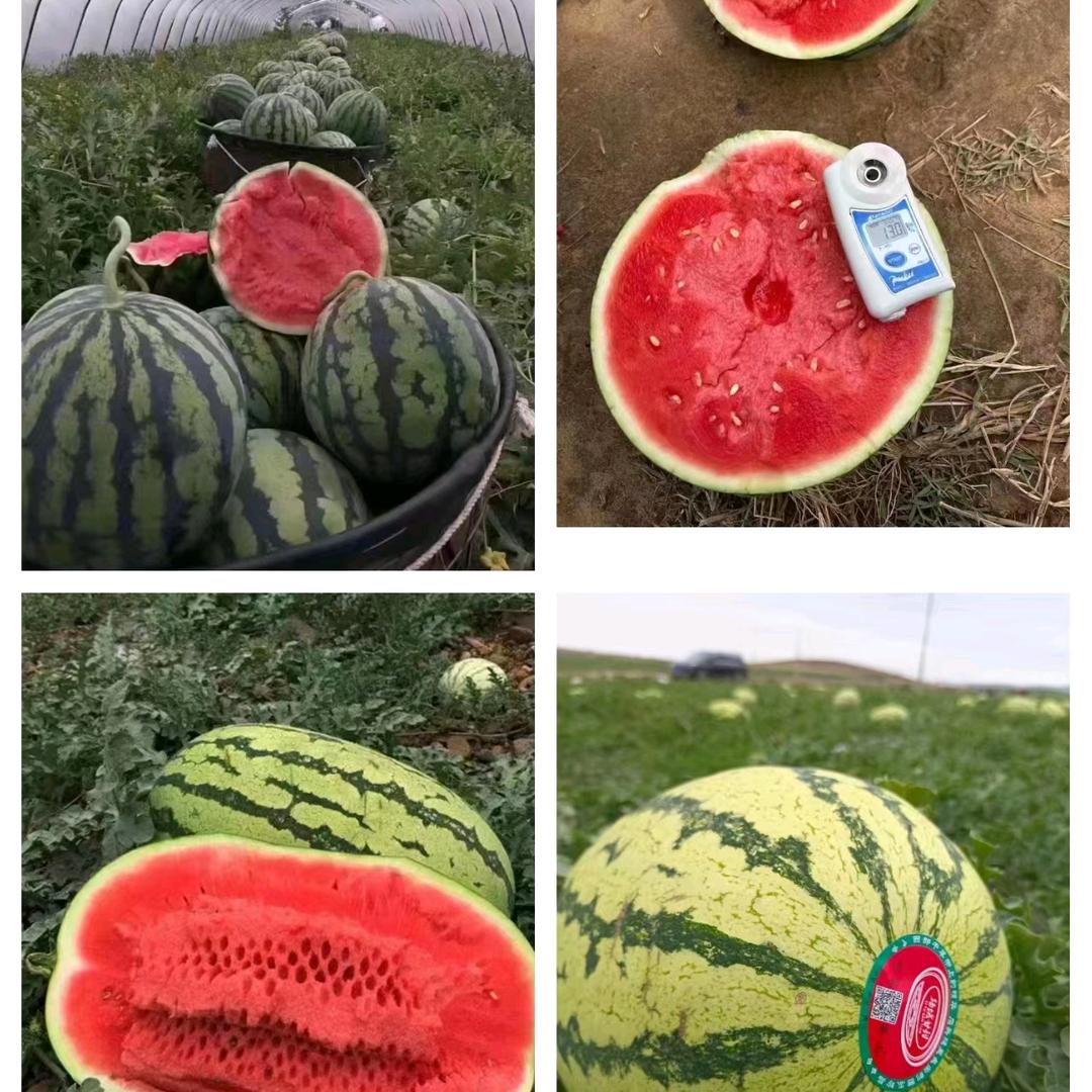 李白爆品水果供应《专业代卖代采代销》