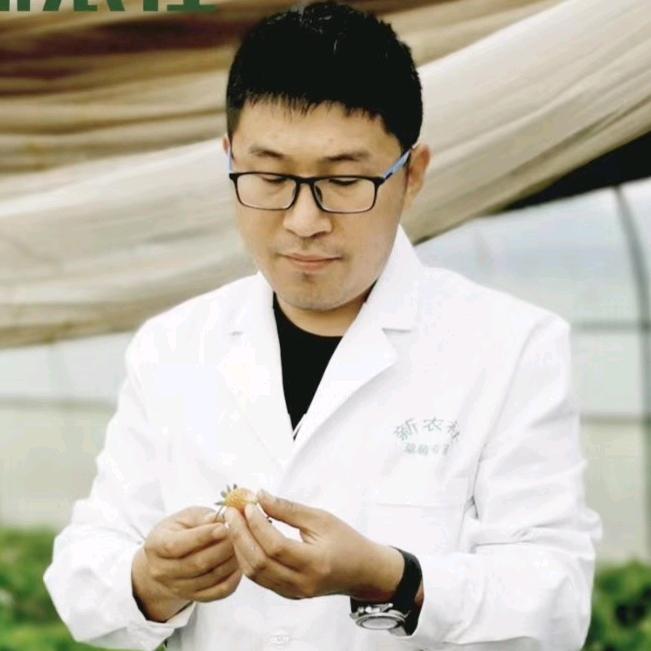宋老师讲草莓种植