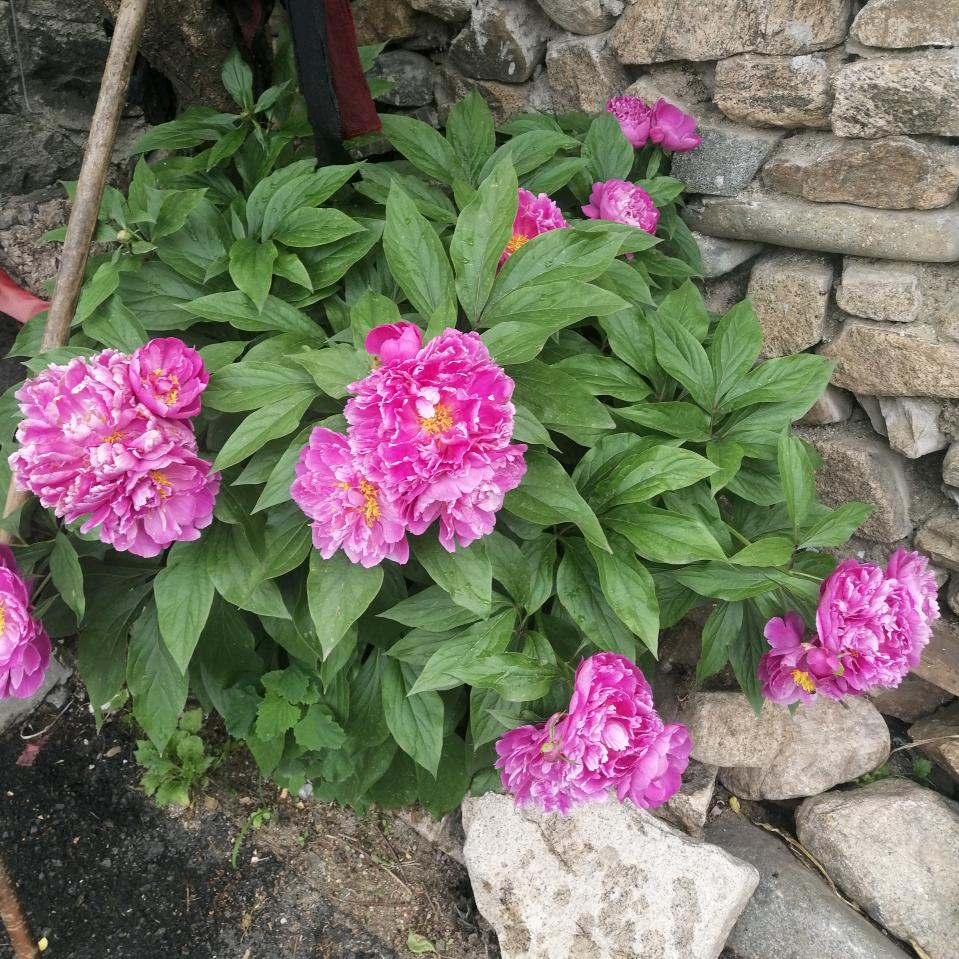 开心快乐过一生