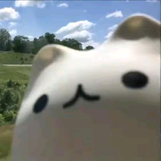 soii
