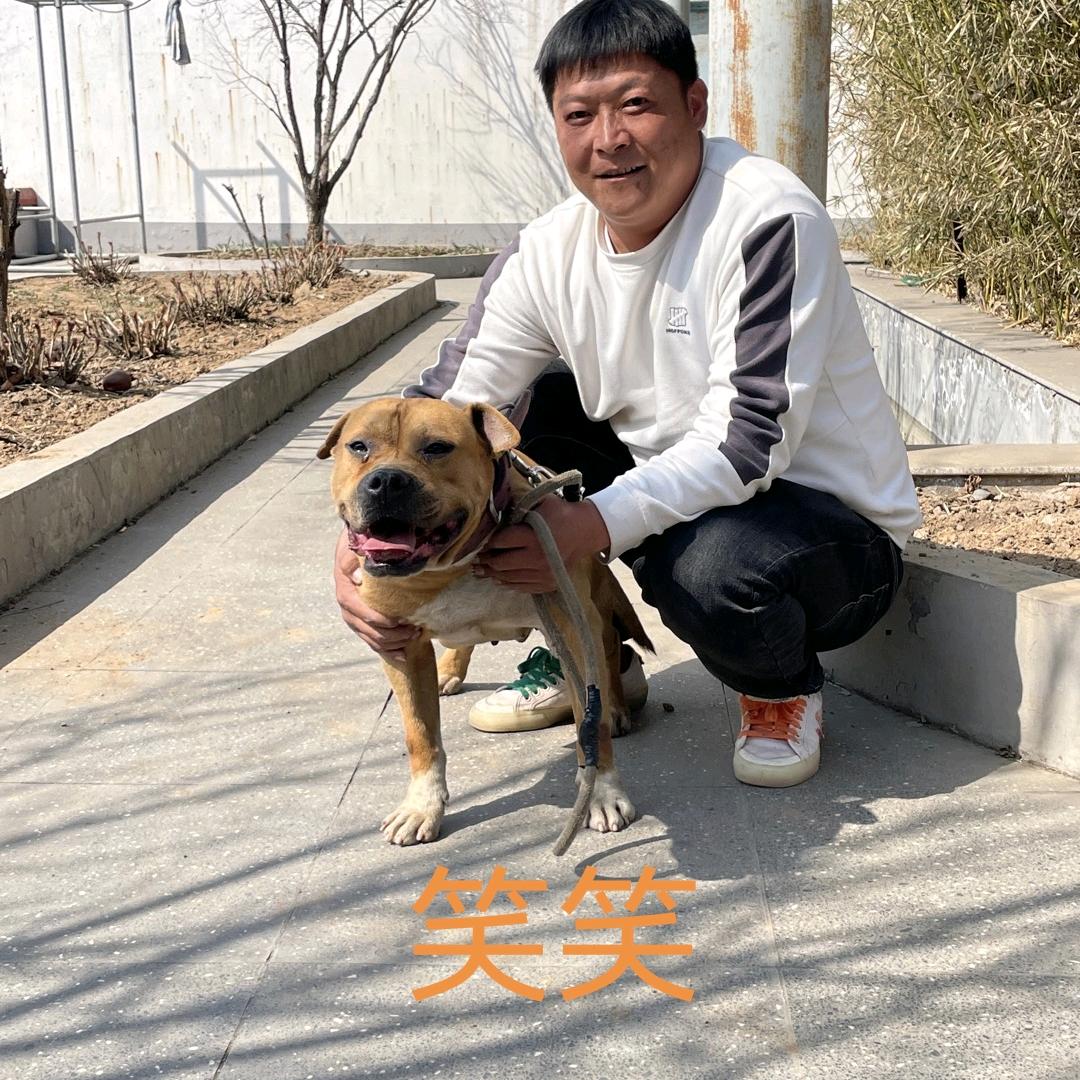 默默的等待