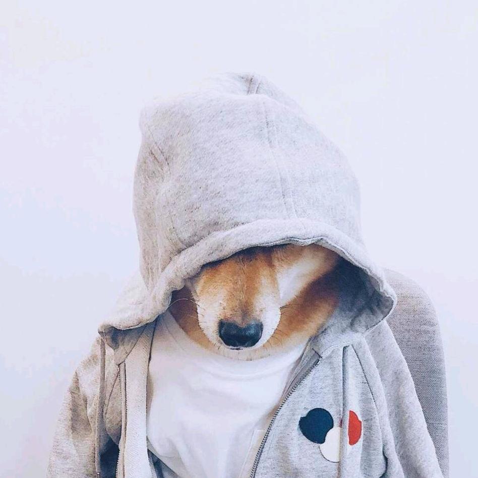久醉成仙