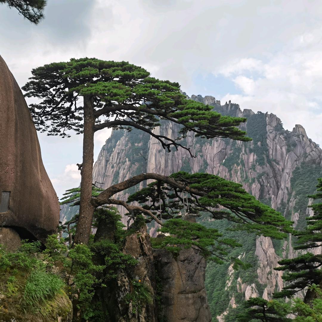 🌈雨哥野钓🌈