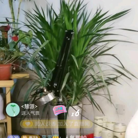 华都