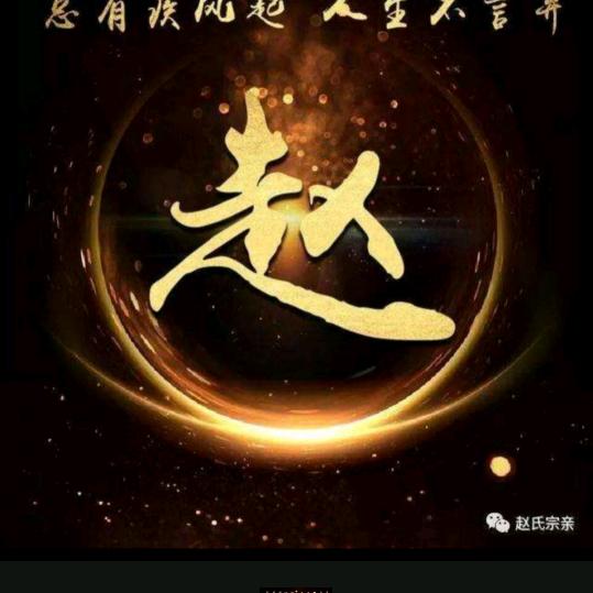单身总统
