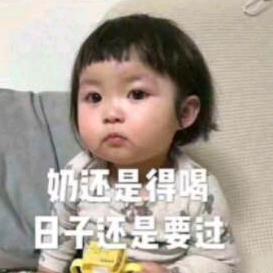 一只小nao虎