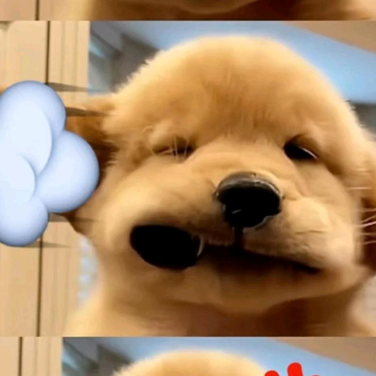 多乐（失业中……）