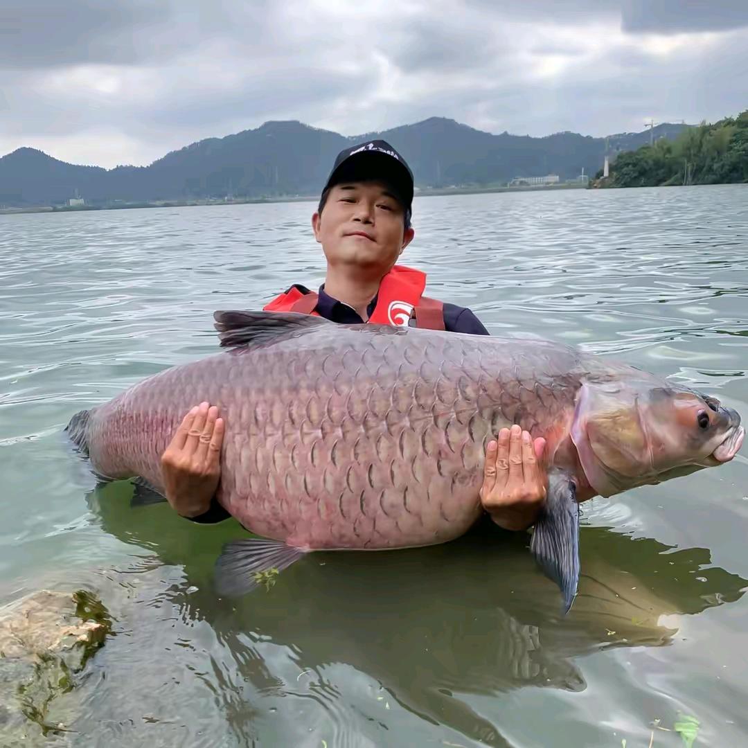 🌈洪湖大虾米🌈