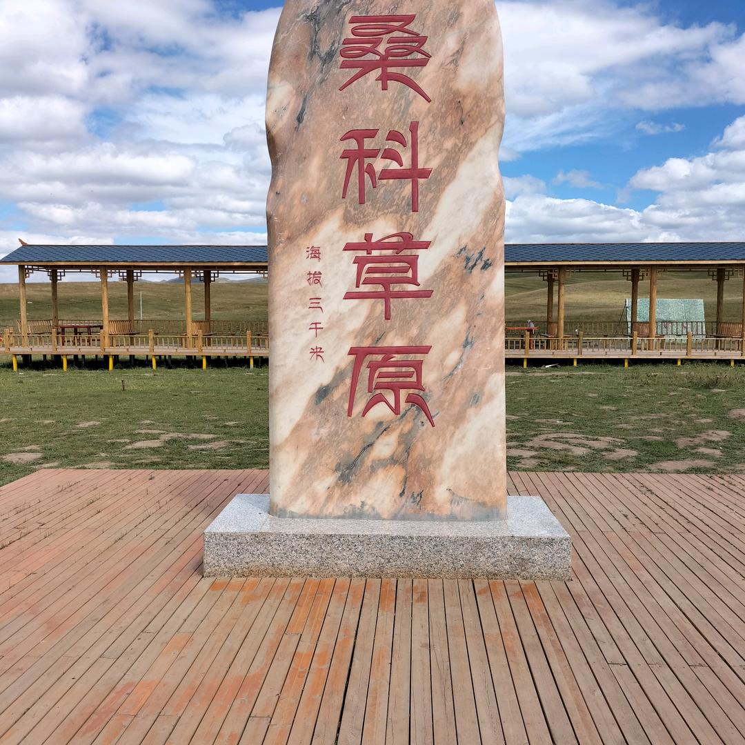 那曲安达拉货，搬家