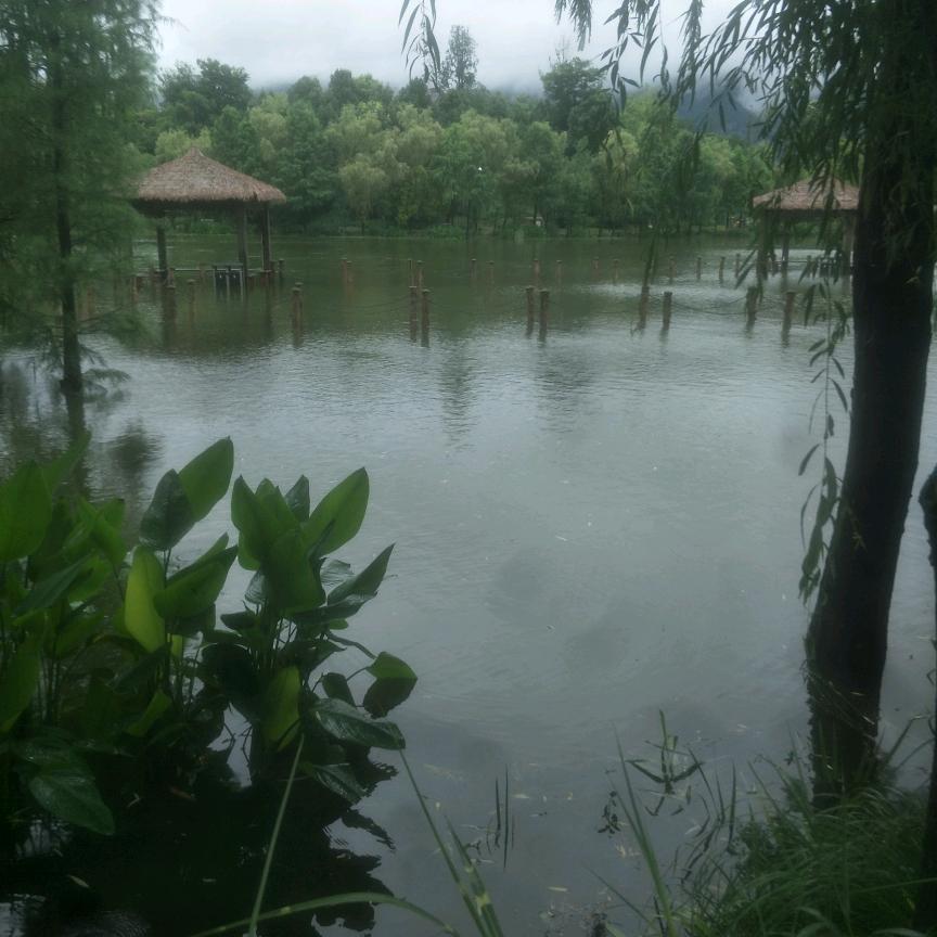 闲人