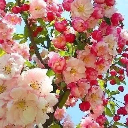 水静河飞