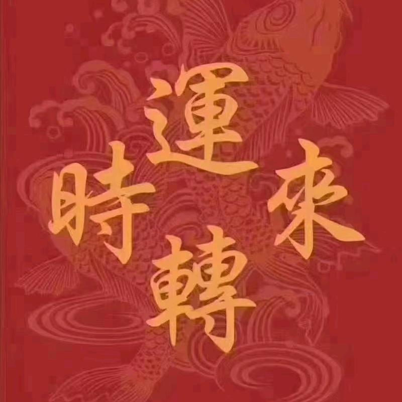 古城一条龙