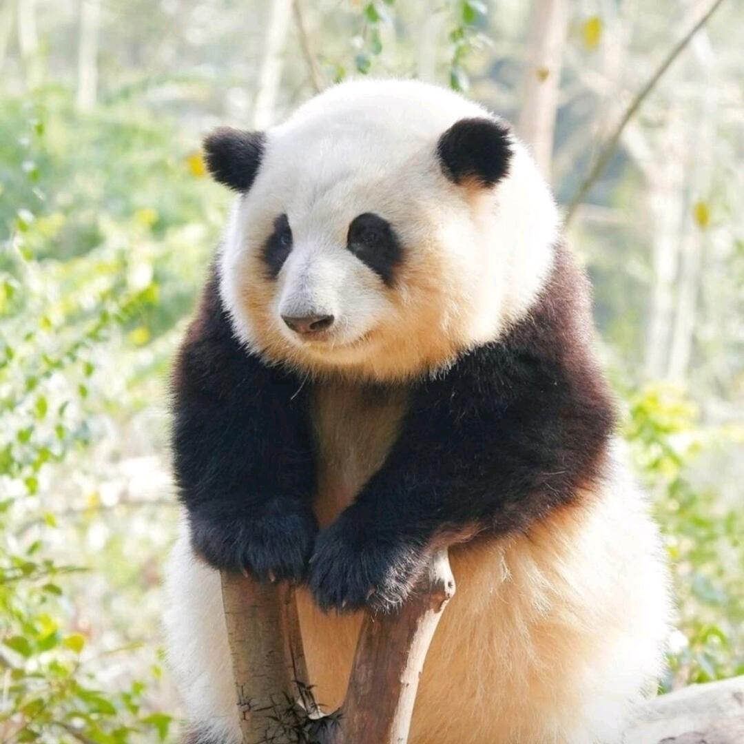 夏天和西瓜绝配