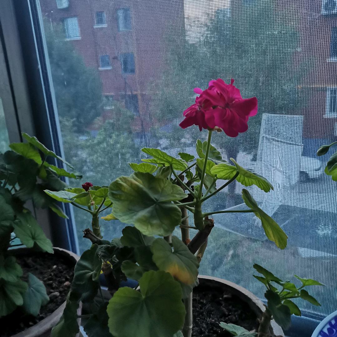 微风细雨