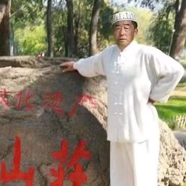 山庄形意