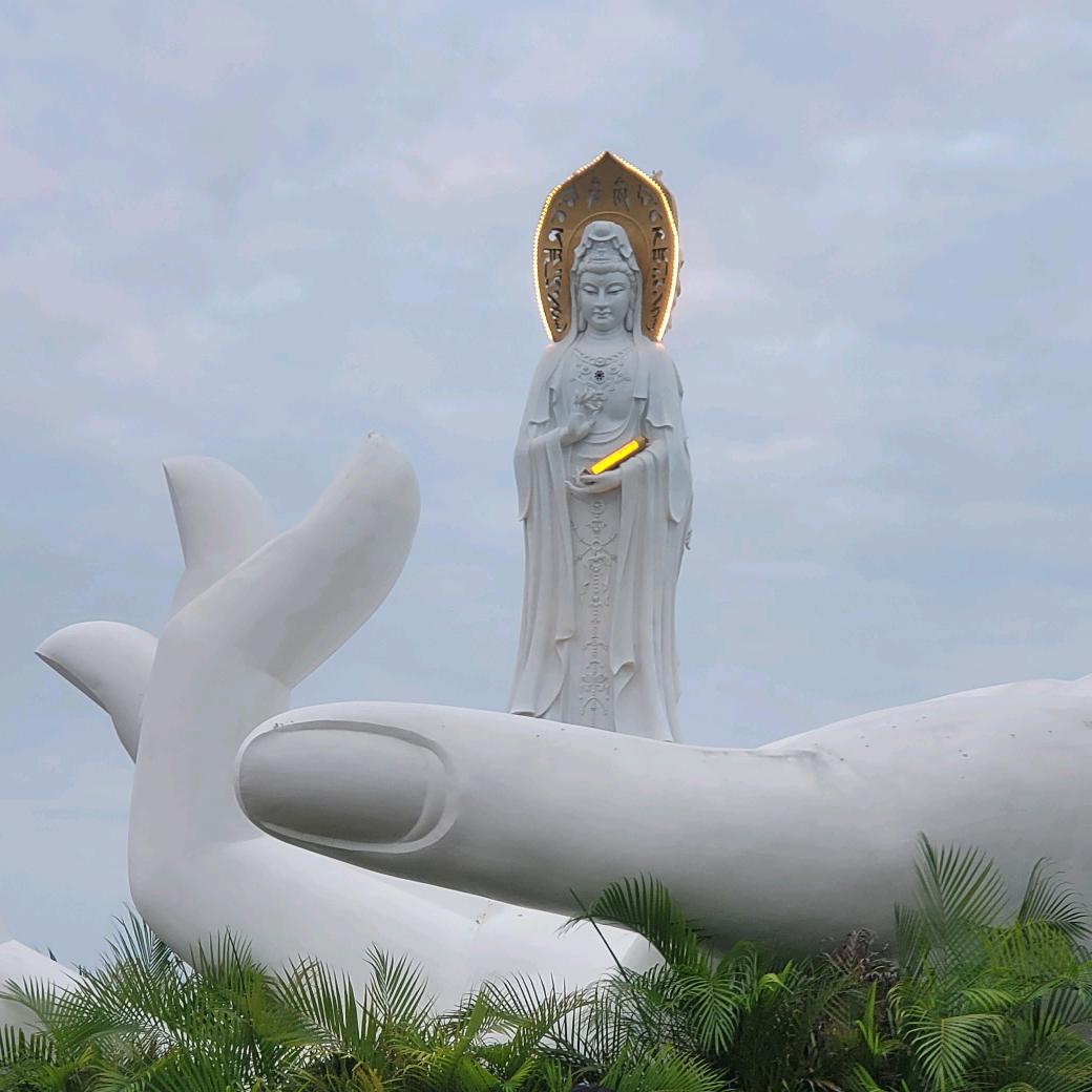 炼焦煤资讯 春山