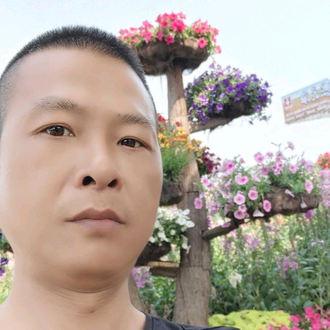动力丰