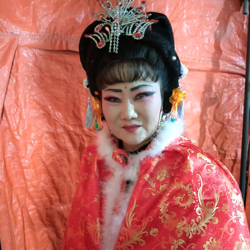 庐剧杨二姐