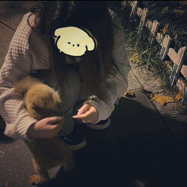 有个方向