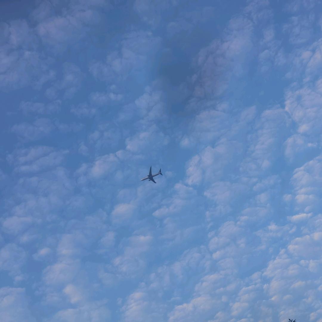 空即是色