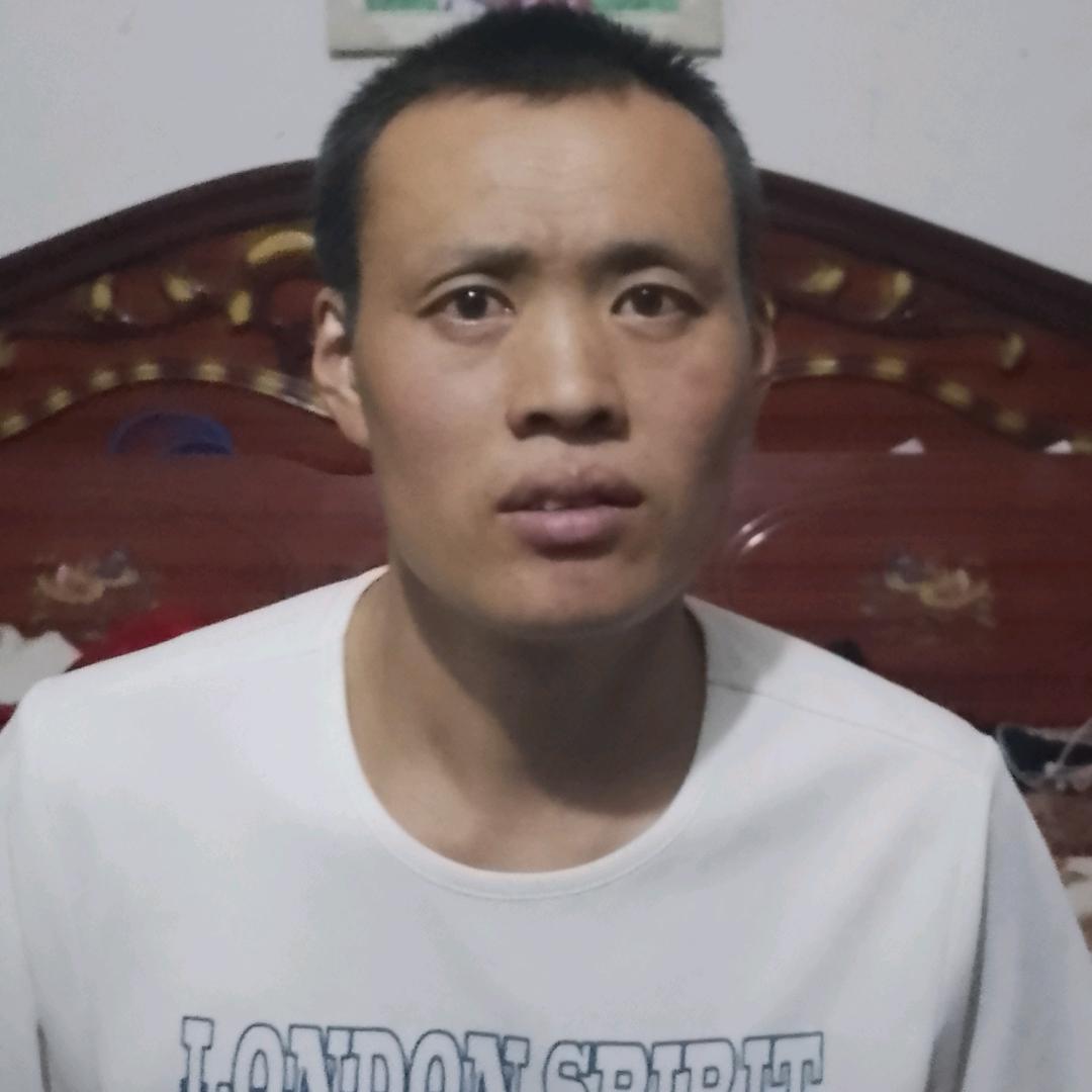 程树林