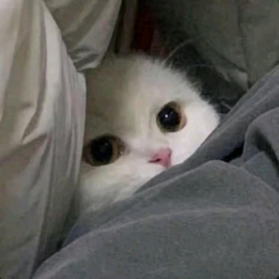 裹着糖浆的泡芙