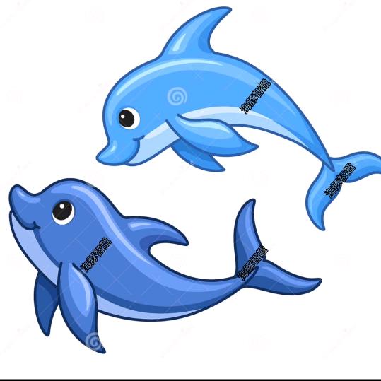 海豚智趣