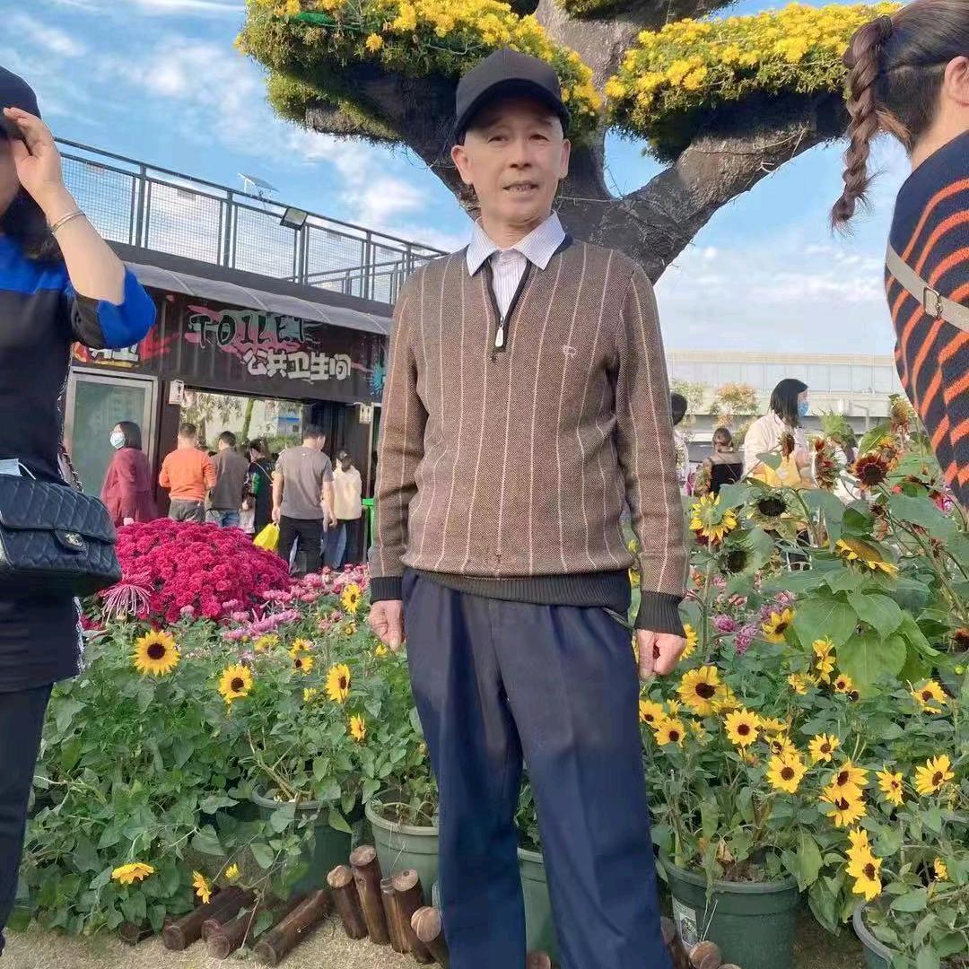 真心实意