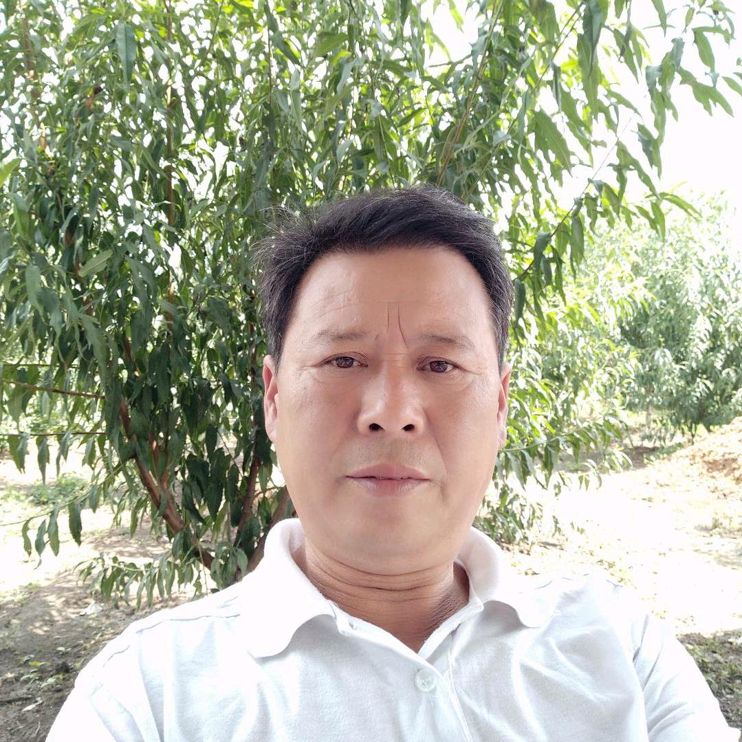 如意