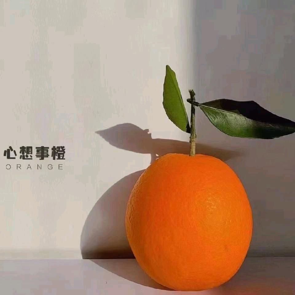 醉酒解不了真愁 (陈庚)