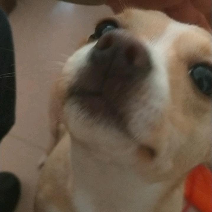 胖子