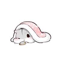a不