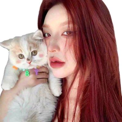 绿匣子里的猫