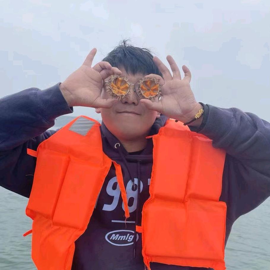 大连小力海胆