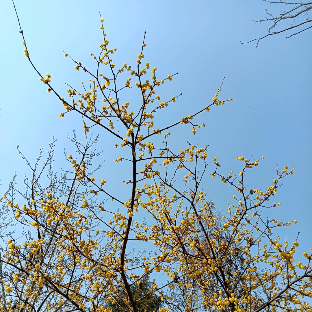 传愛的人