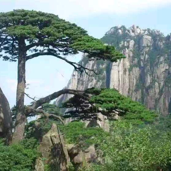 一生有你
