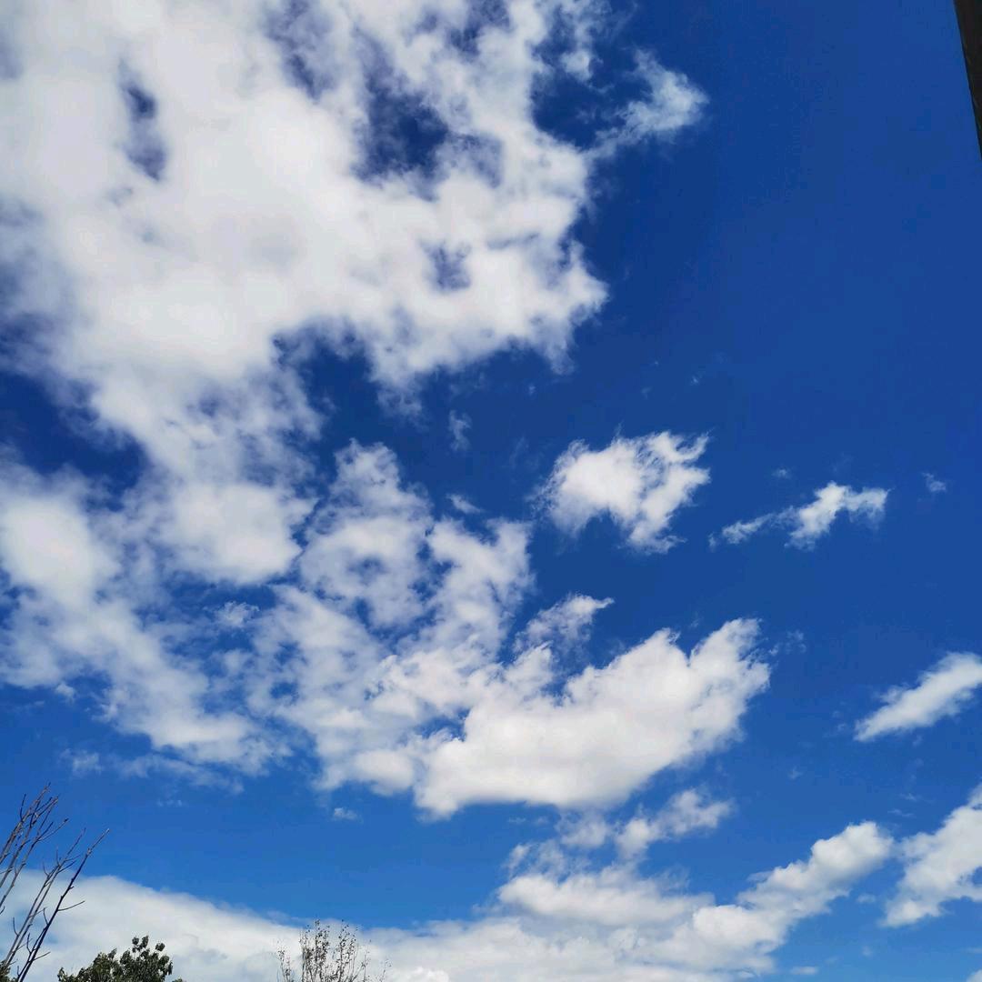河北石哥