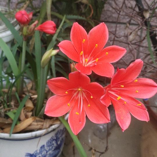 换个活法
